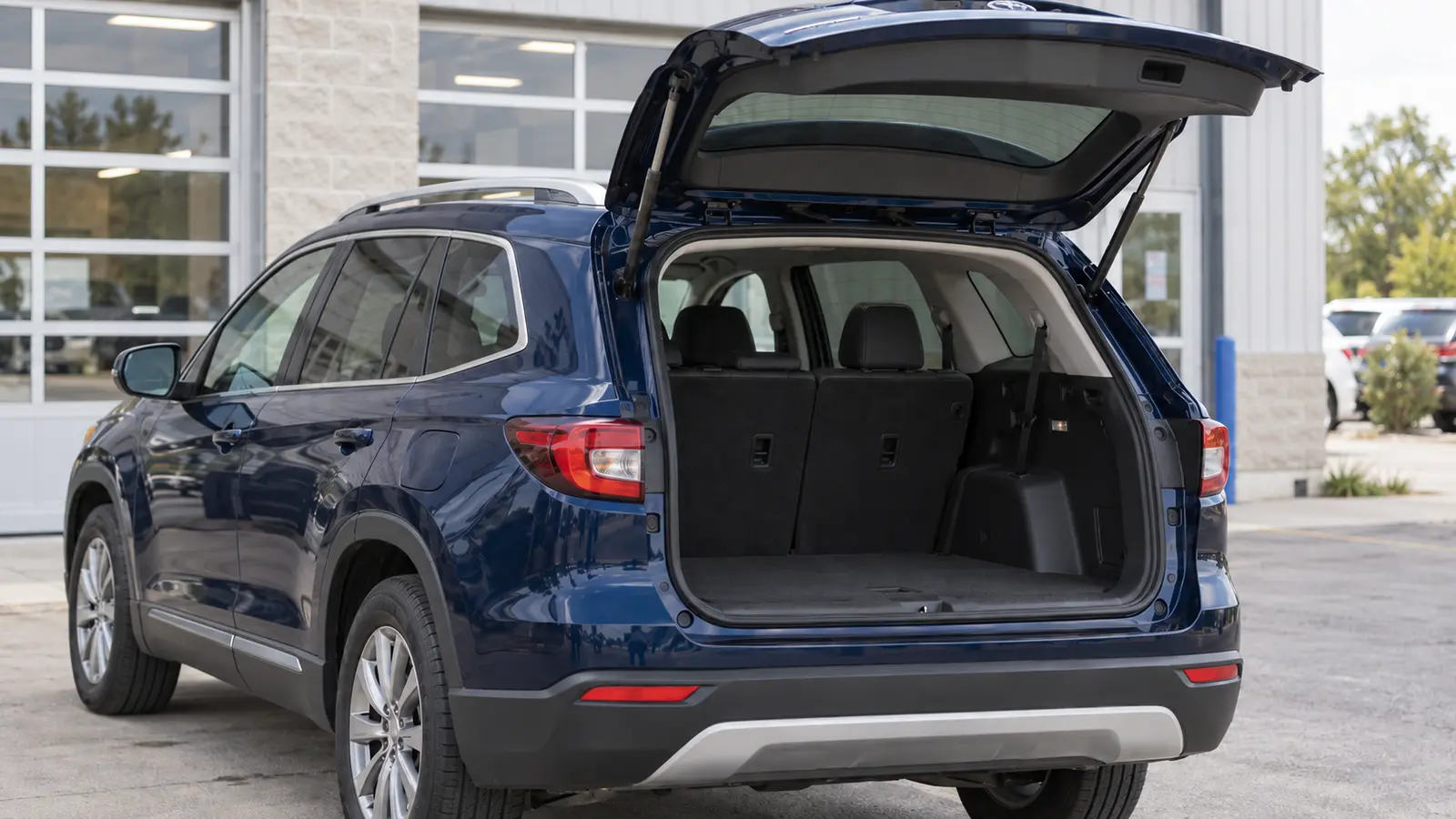 SUV rear liftgate held open by NTZ damped tailgate lift support gas struts
