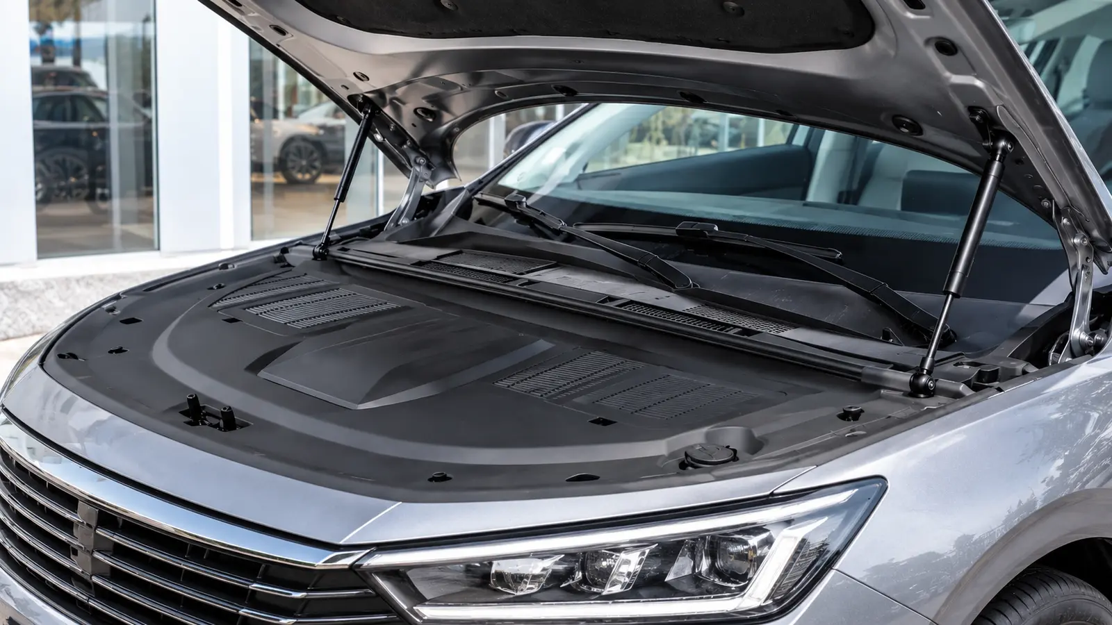 Car hood held open by dual NTF automotive gas struts without a prop rod
